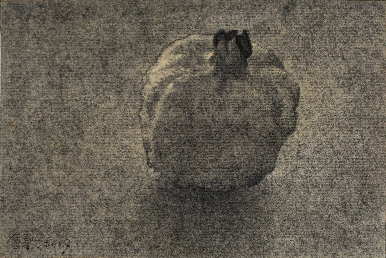 石榴、素描——舒揚（圖ZMjMzMDUzNzY4） - 繪畫 - 站酷設(shè)計師糙吉流原創(chuàng)素材 - 站酷ZCOOL