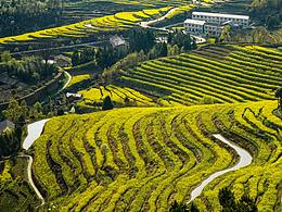 凤堰明清古梯田