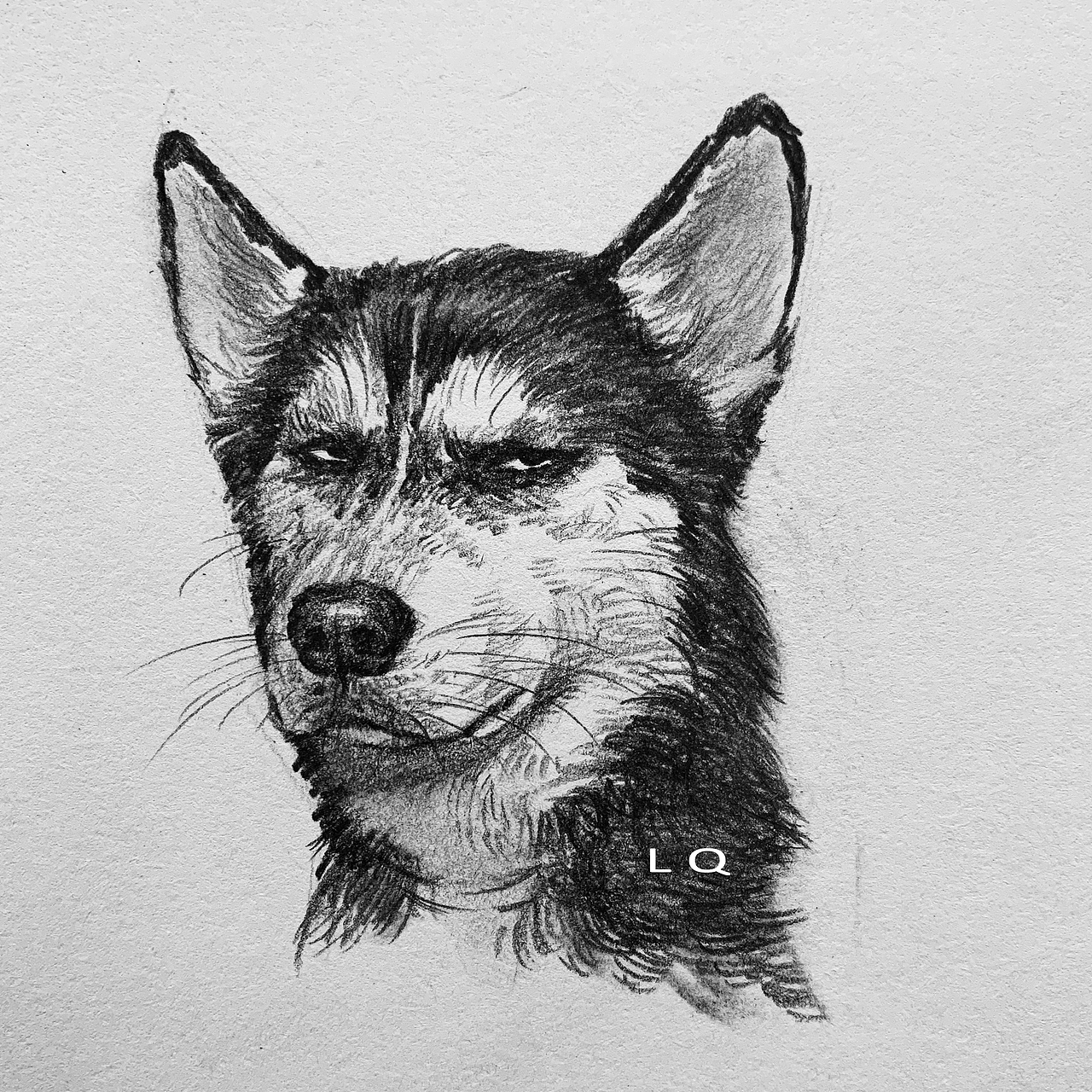 萌宠素描插画