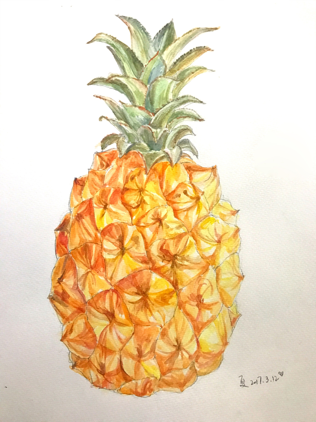 水彩手绘小菠萝~~（图ZNzMzMTczNzI=） - 创作习作 - 站酷设计师尬炸小丸子原创素材 - 站酷ZCOOL