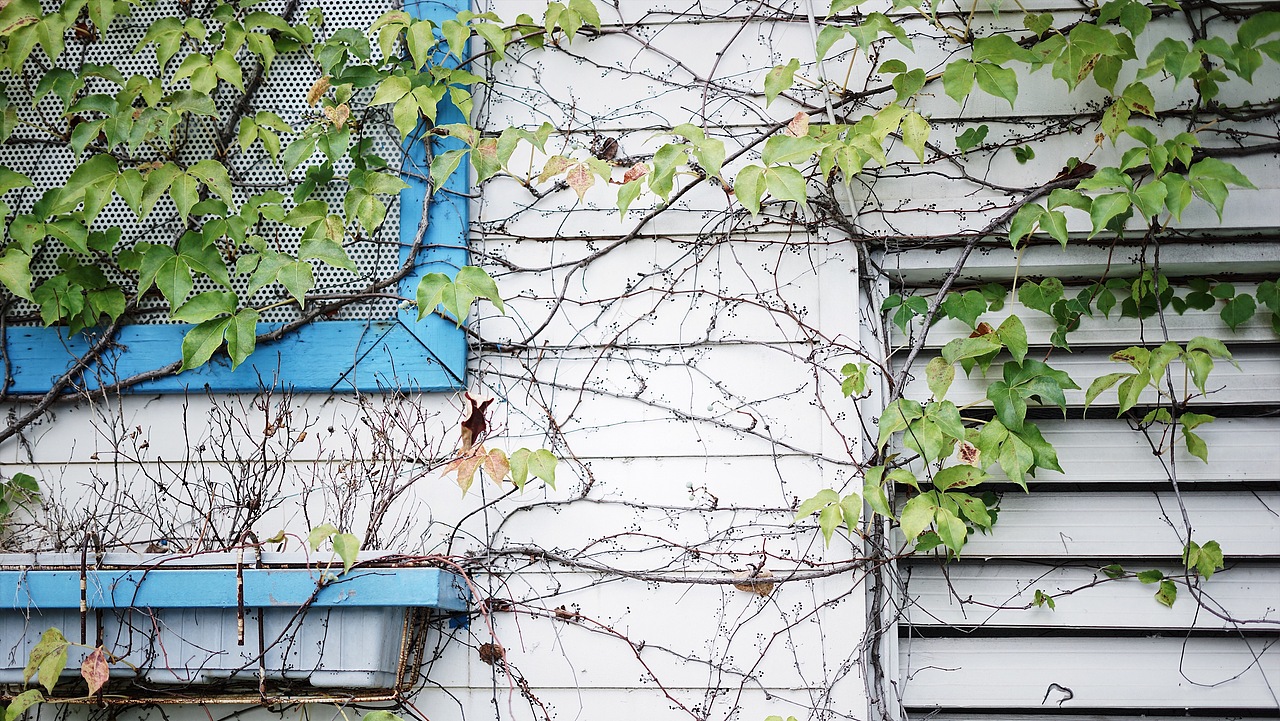 一组下午茶随拍（图ZOTA0NTY2NjQ=） - 环境/建筑摄影 - 站酷设计师Carson_小立原创素材 - 站酷ZCOOL