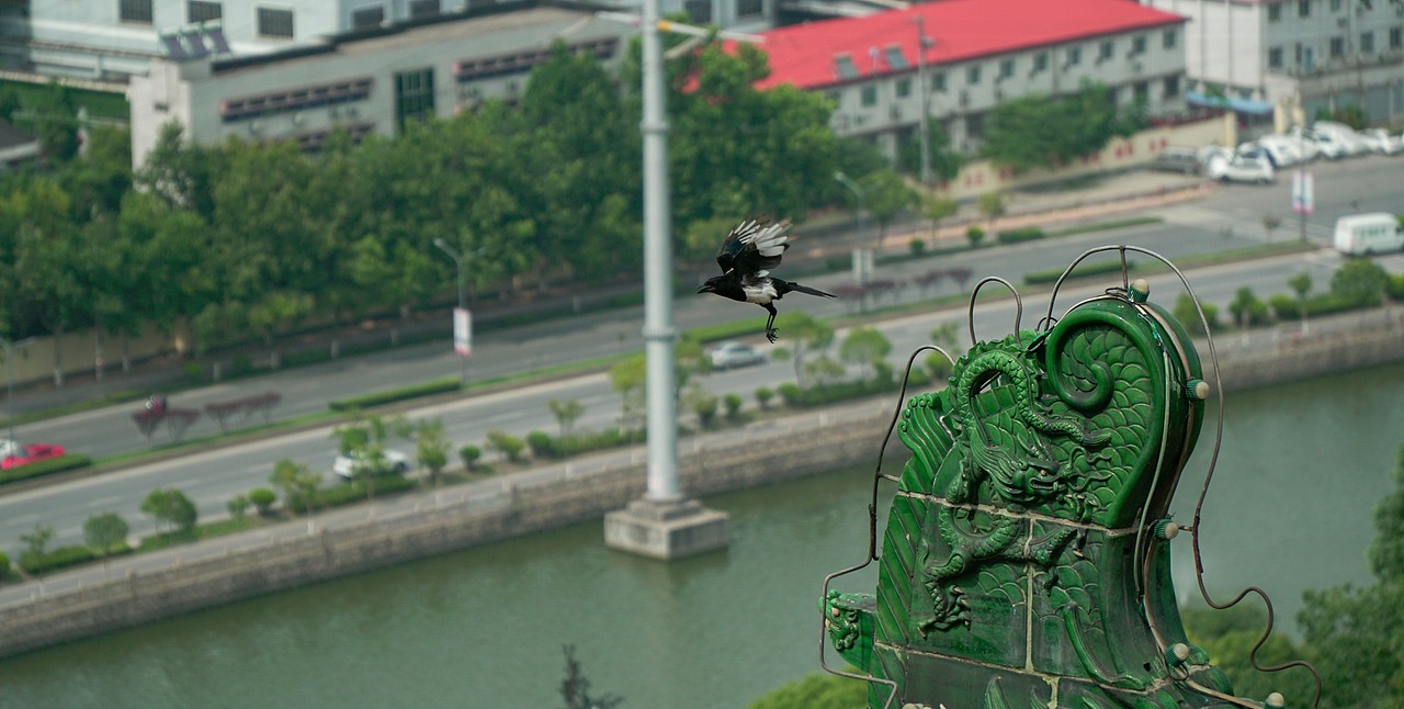 南京丨旅行（图ZMTY3MjYwMjA0） - 风光摄影 - 站酷设计师郝贽韡原创素材 - 站酷ZCOOL