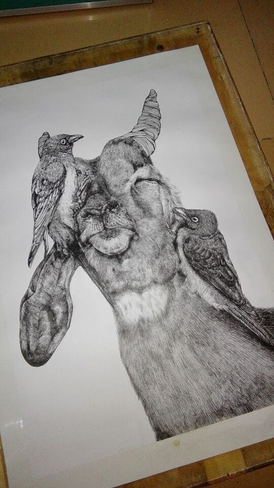 黑白绘-动物印记