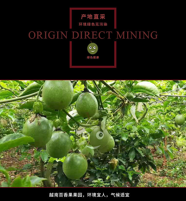 老男人果品百香果（图ZMTE0NDQxNzQ4） - 宣传物料 - 站酷设计师邱公城原创素材 - 站酷ZCOOL