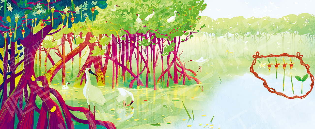 少儿科普百科全书插画（一）