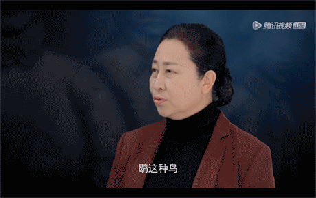 《新鲜博物馆之进击的大秦》片头及视觉设计（图ZMjY1OTMwODM2） - 栏目片头 - 站酷设计师iaof原创素材 - 站酷ZCOOL