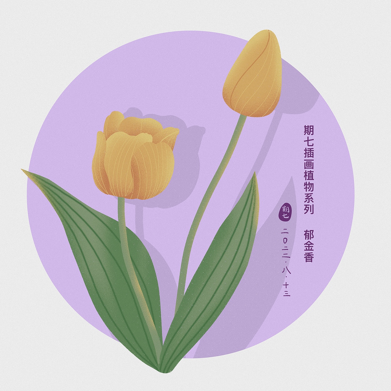 扁平风插画植物系列合集