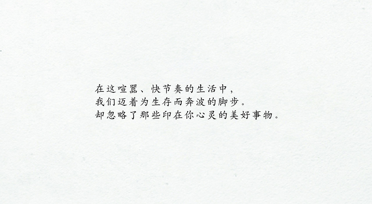 心印红木·提案