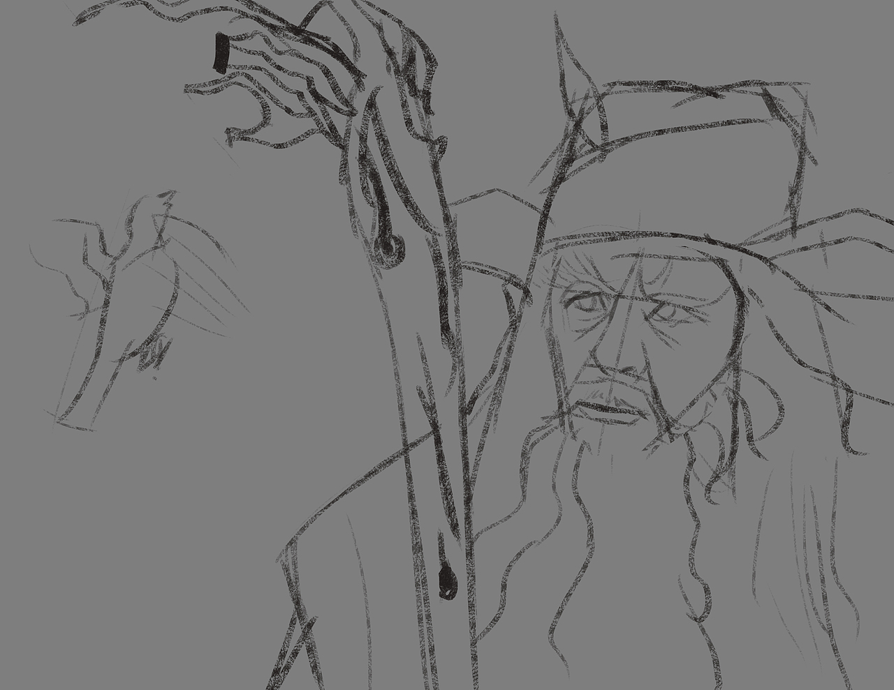 霍比特人褐袍巫师瑞达加斯特