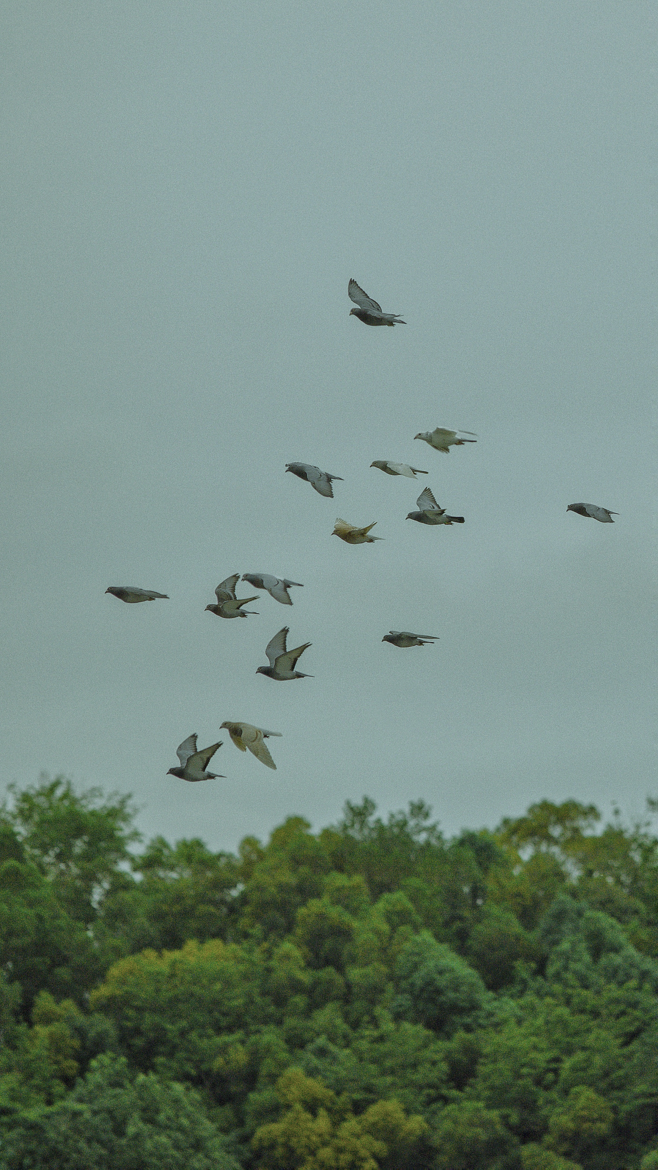 把背影纪实瞬间拼成一幅画