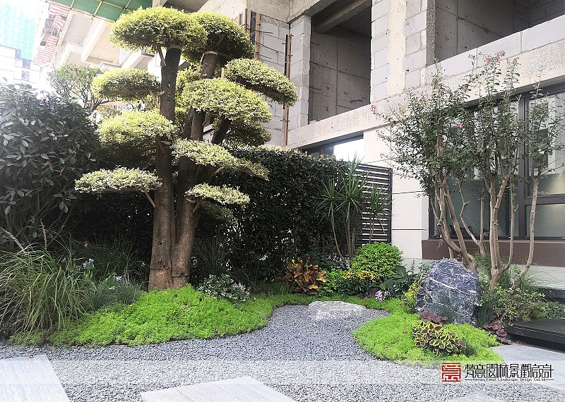 庭院设计实景图