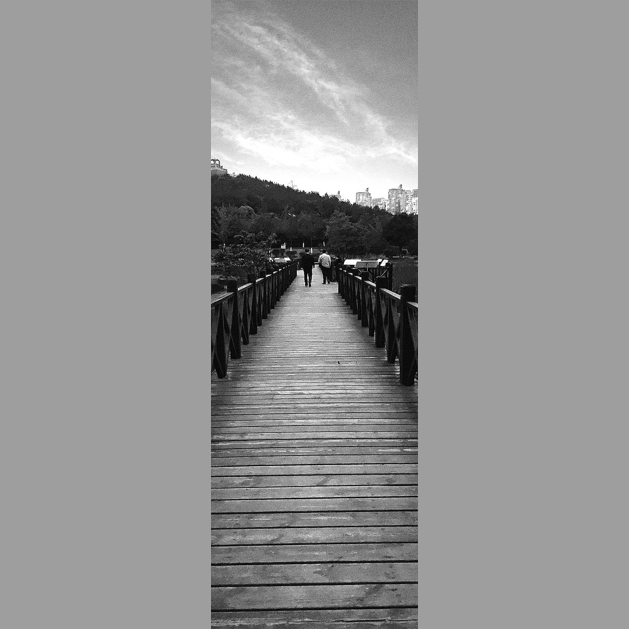 湿地公园（图ZMjUwODM0NDIw） - 风光摄影 - 站酷设计师PeachYOM原创素材 - 站酷ZCOOL