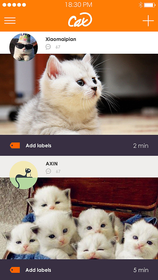 cat原创手机app（图ZMjE3MzI0NjA=） - APP界面 - 站酷设计师xiaomaipian原创素材 - 站酷ZCOOL