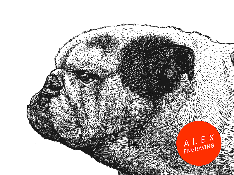 版画-斗牛（图ZMTExMDc3Njcy） - 商业插画 - 站酷设计师花椒的Alex原创素材 - 站酷ZCOOL