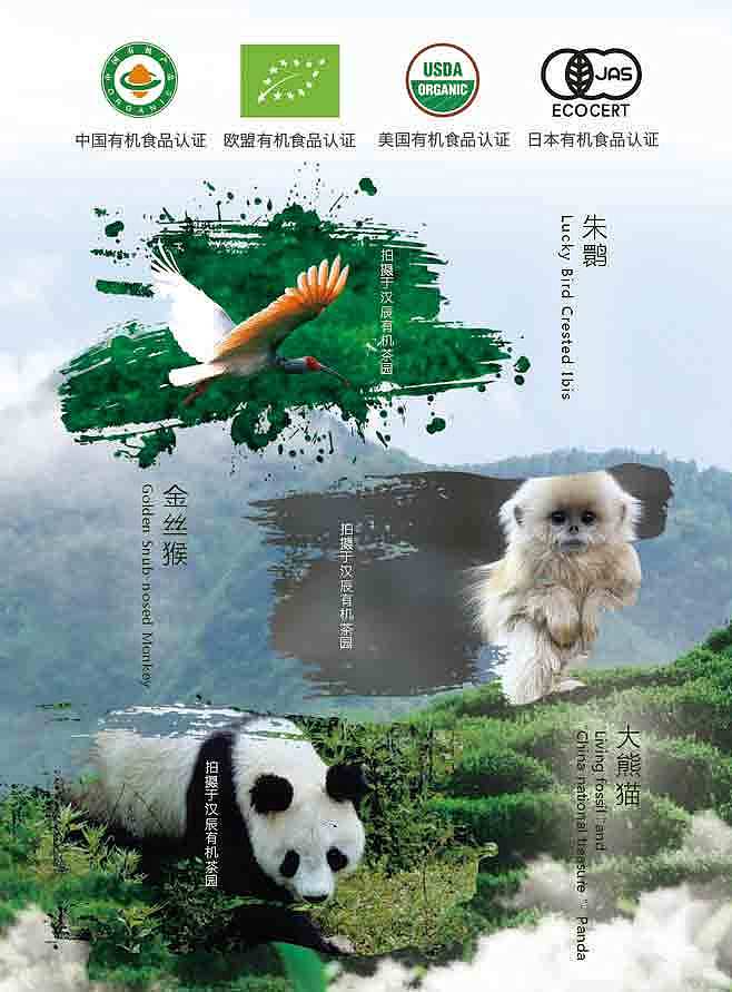 展板设计-汉辰香港展会