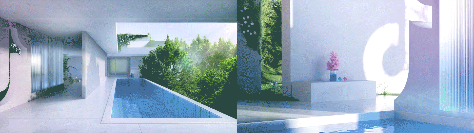 抖音品牌_向光概念视频