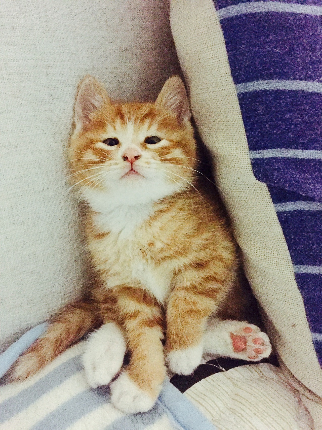 我家那几口子-手机拍摄