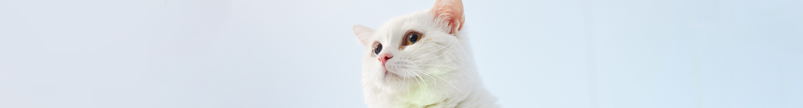 三月le的個(gè)人主頁（封面預(yù)覽） - 主頁封面設(shè)置 - 站酷設(shè)計(jì)師三月le原創(chuàng)素材 - 站酷ZCOOL