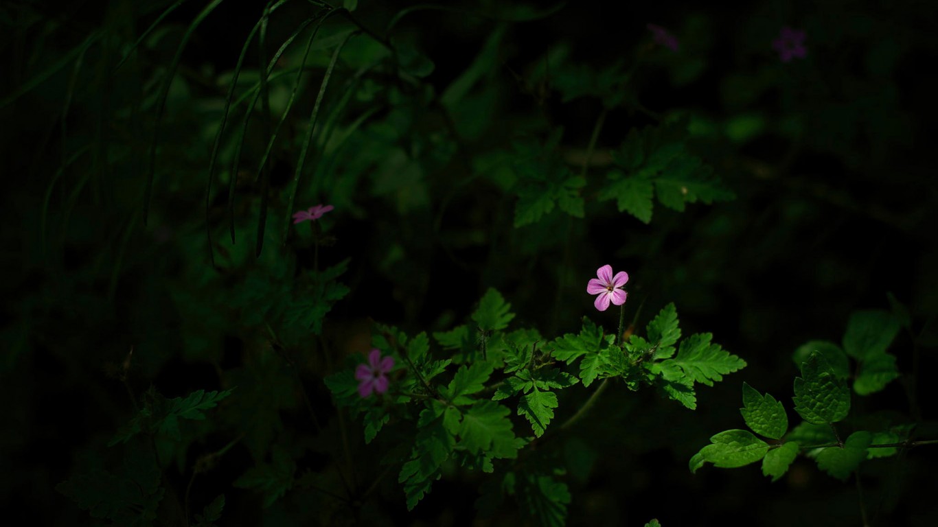 鄧靈子的個(gè)人主頁（背景預(yù)覽） - 主頁背景設(shè)置 - 站酷設(shè)計(jì)師鄧靈子原創(chuàng)素材 - 站酷ZCOOL