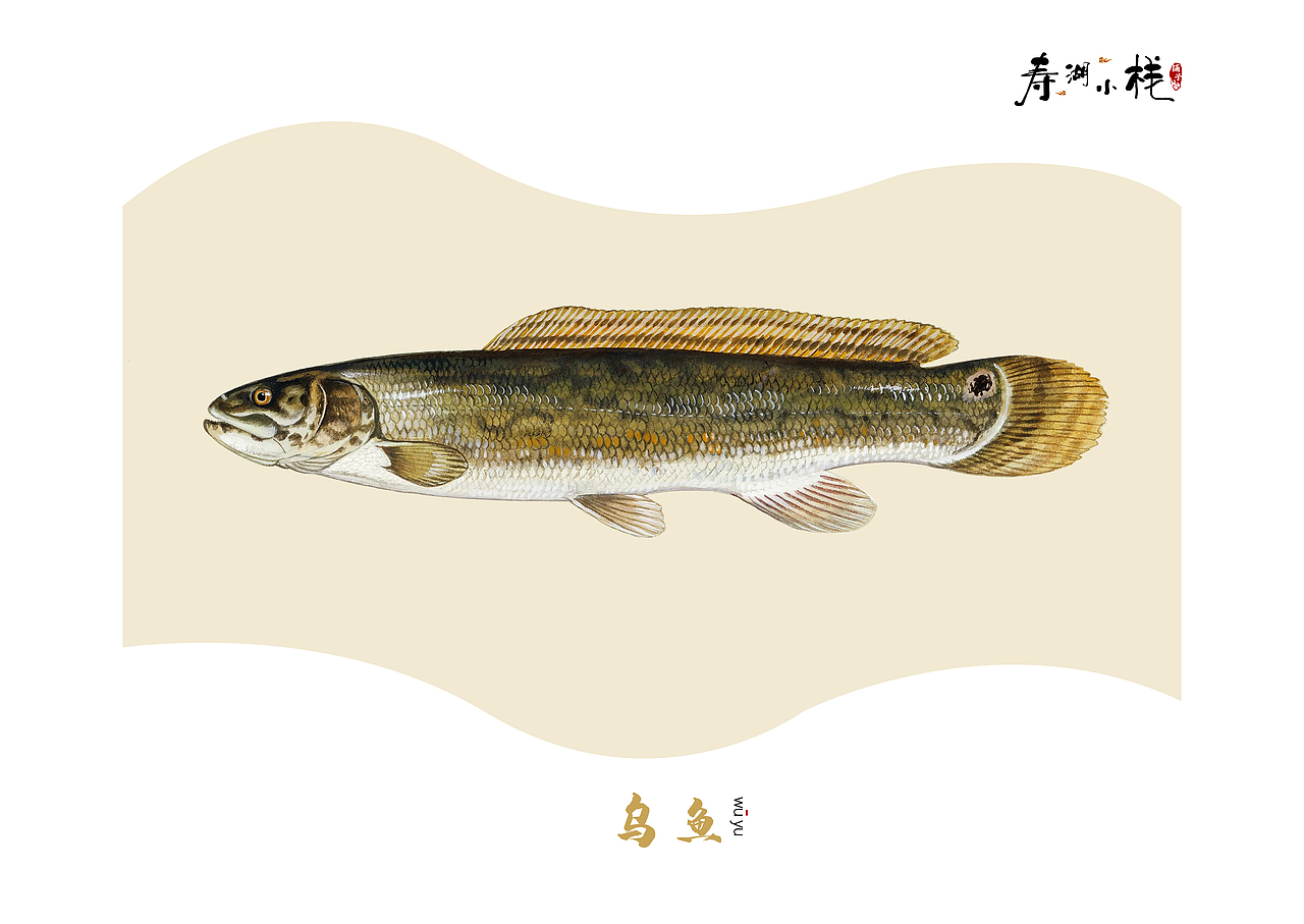 《鱼》（图ZMTYwNDE4OTE2） - 书籍/画册 - 站酷设计师ANEAL原创素材 - 站酷ZCOOL