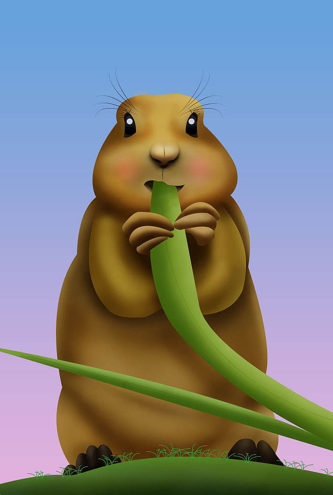 土拨鼠|插画|创作习作|僵小娴_原创作品-站酷zcool