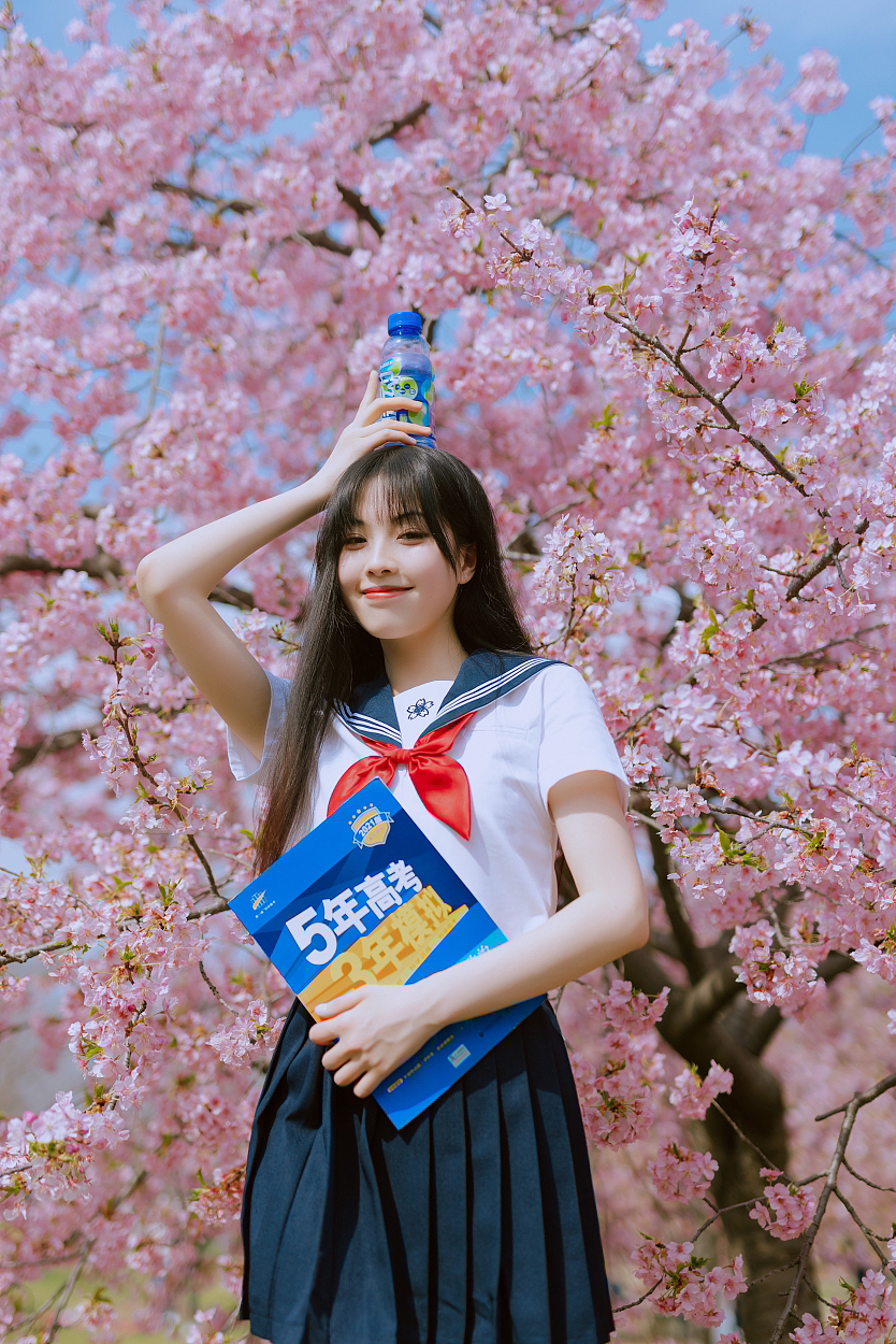 辰山樱花🌸（图ZMzM0MDQ4ODc2） - 人像摄影 - 站酷设计师宝藏摄影JY原创素材 - 站酷ZCOOL