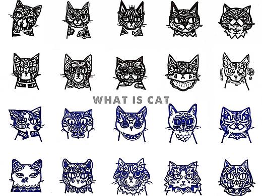 猫是什么