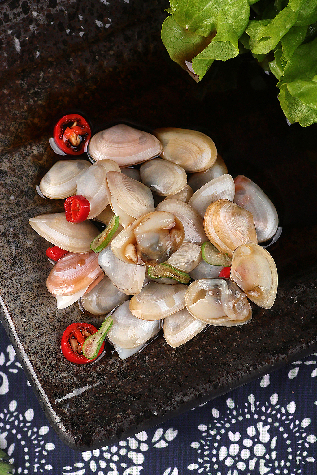 大海瓜子丨名副其实的小小贝类生物丨飞鸟电商