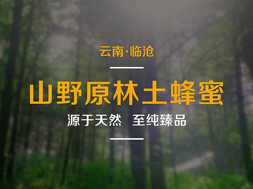 叫雨山——山野原林土蜂蜜创意包装