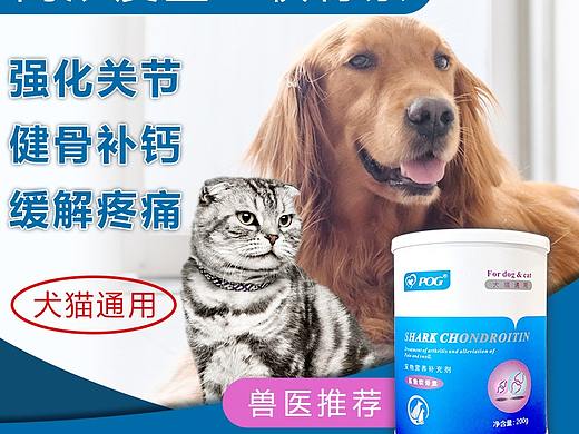 宠物用品 主图+详情页