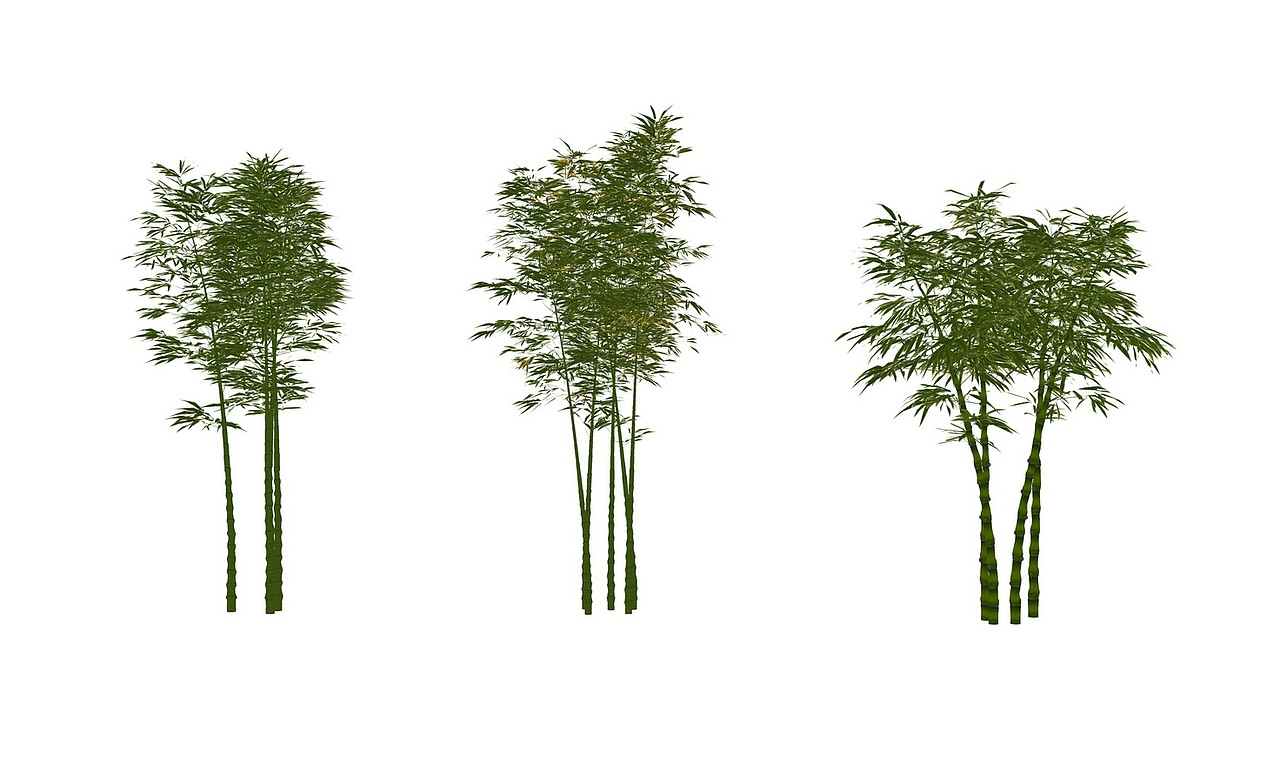 3D竹子SU模型下载