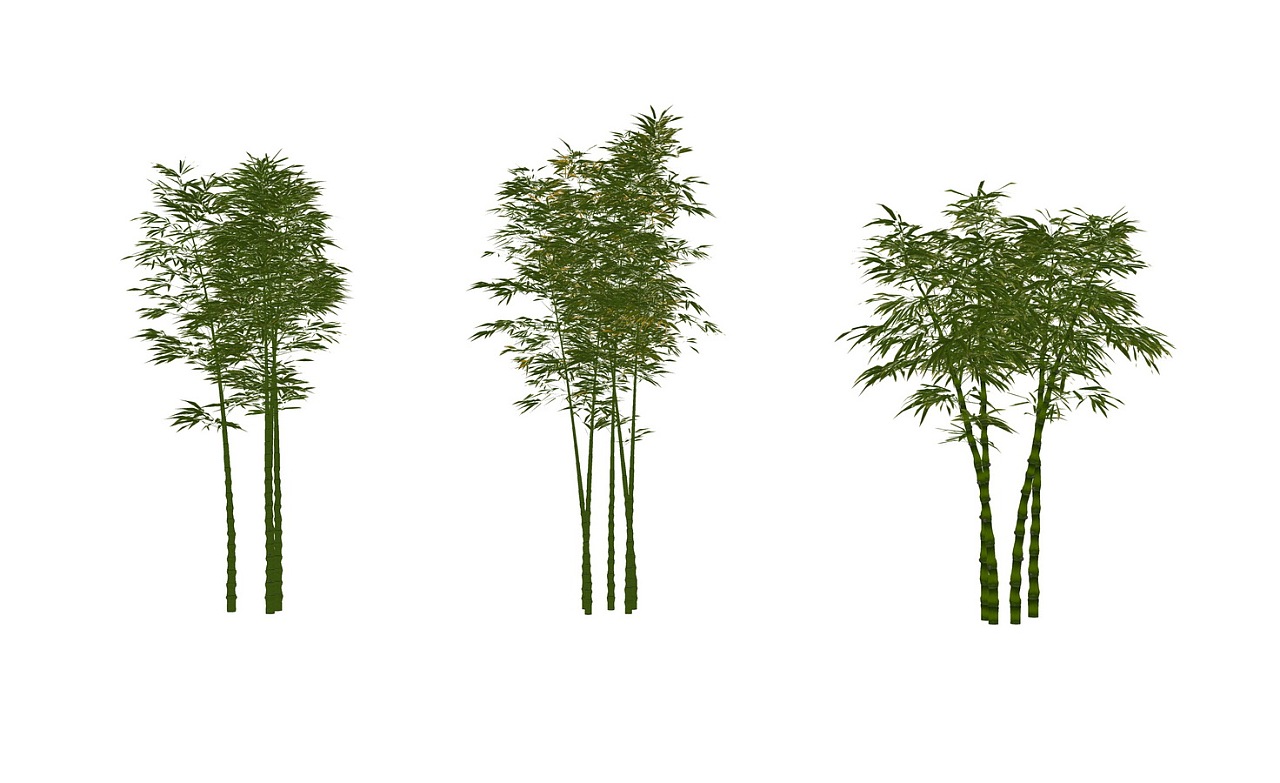3d竹子su模型下载