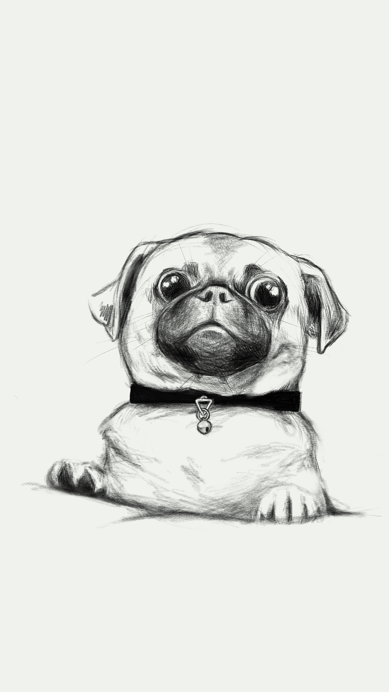 我们家的狗 - 日常练习