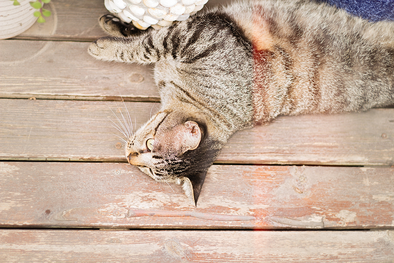 江阴南门日记一则（图ZMTg5OTgyMDIw） - 人像摄影 - 站酷设计师一个小瓜瓜原创素材 - 站酷ZCOOL