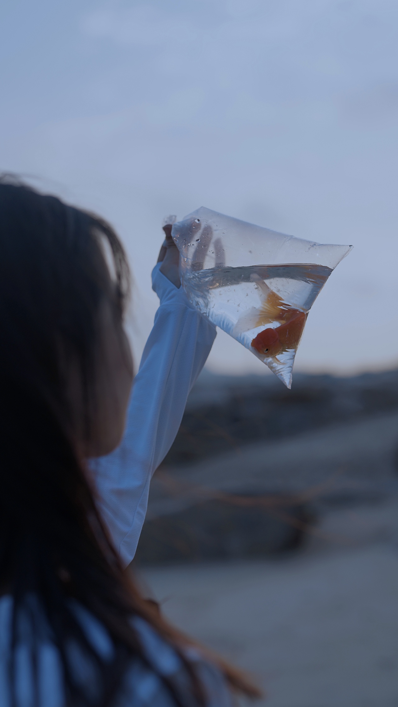 金鱼与海（图ZMTg1MTUzOTU2） - 人像摄影 - 站酷设计师進聲原创素材 - 站酷ZCOOL