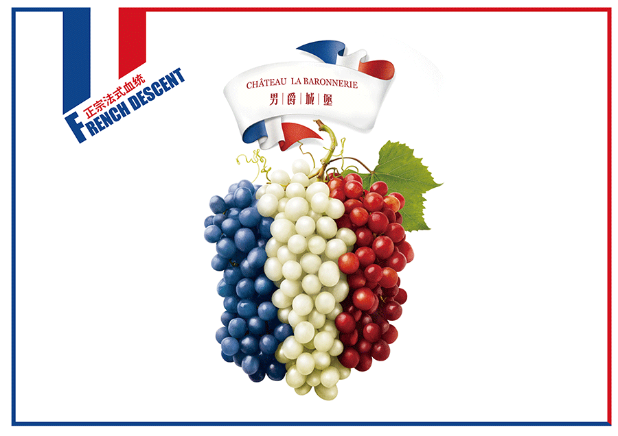 祥泰红酒包装策划设计（图ZOTA2MzM3OTI=） - 品牌 - 站酷设计师东德品牌设计原创素材 - 站酷ZCOOL