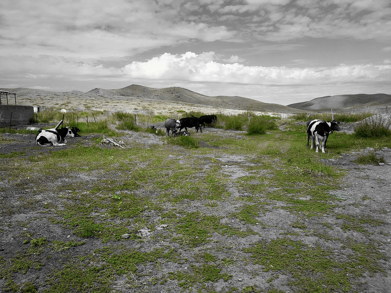 纯属爱好[z石化]（图ZMTEyOTU2ODEy） - 人文/纪实摄影 - 站酷设计师Z20493486原创素材 - 站酷ZCOOL