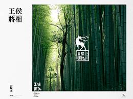 消毒湿纸巾-包装设计-王侯将相