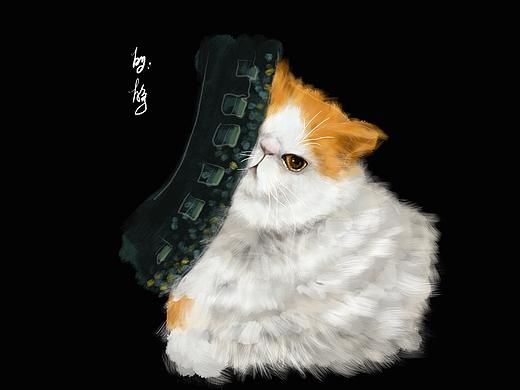 ipad插画习作9-11