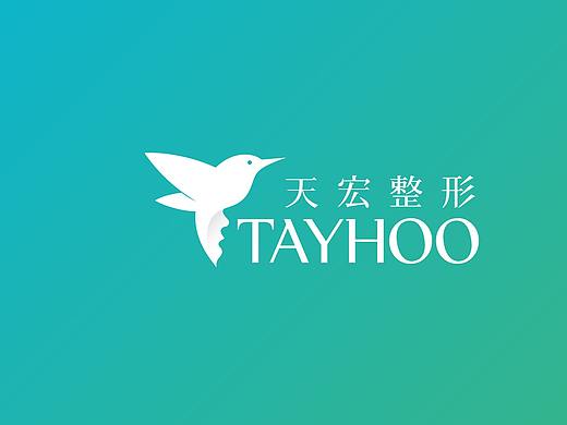 济南天宏整形品牌设计 | 商业品牌设计