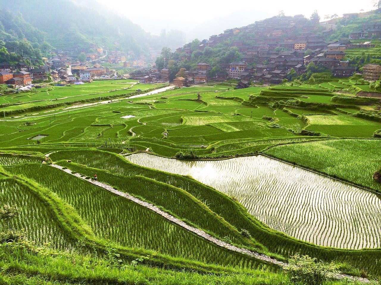 贵州西江千户苗寨的梯田