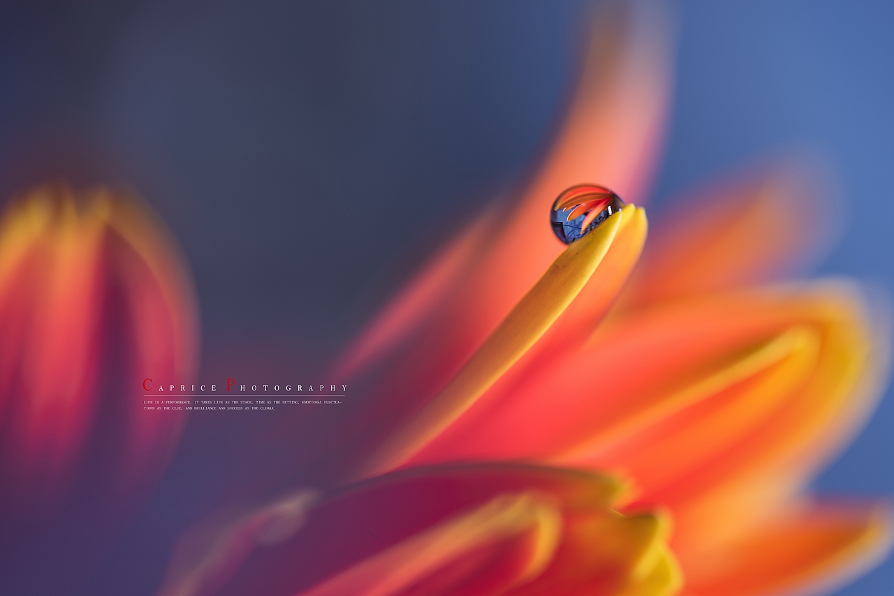 风花雪月（图ZMTU1NDU0NzAw） - 产品摄影 - 站酷设计师沉默畅想曲原创素材 - 站酷ZCOOL