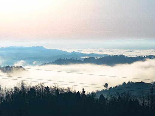 逐光拾影（-肆）