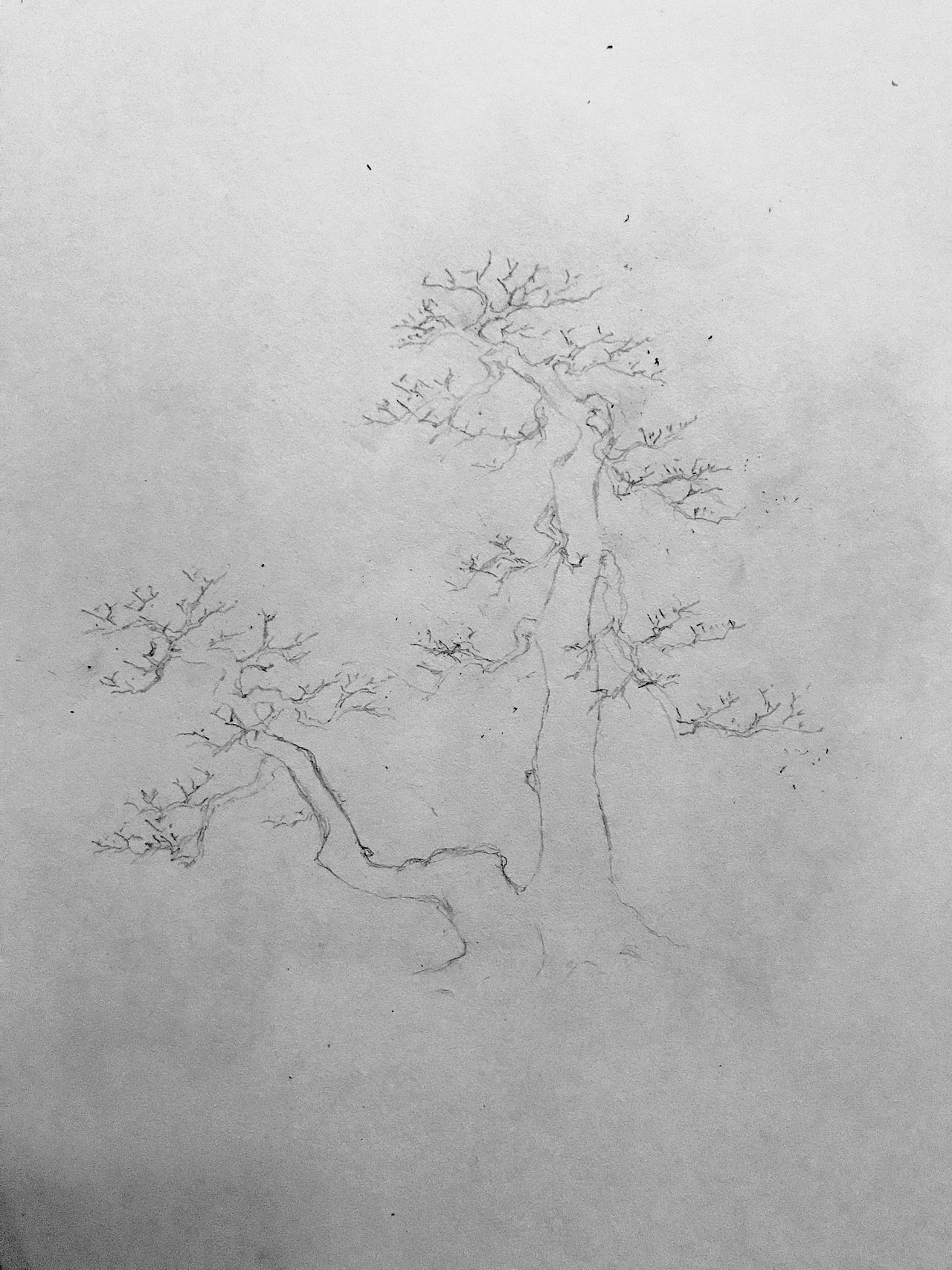 手绘盆景（图ZMTUxMTI1MDA0） - 像素画 - 站酷设计师Z75835907原创素材 - 站酷ZCOOL