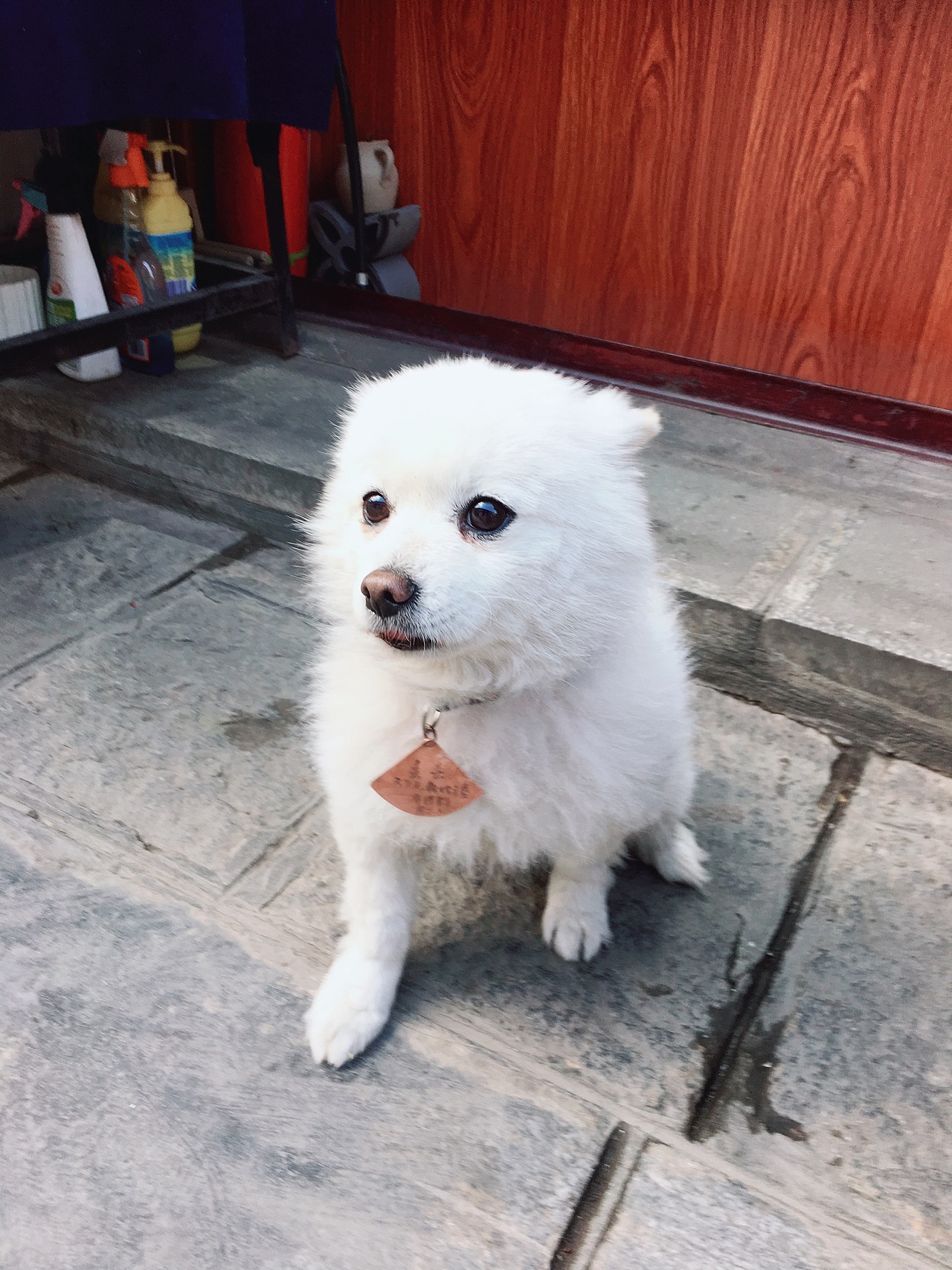 喜洲古城里的丢丢