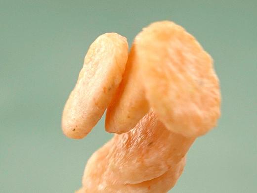 逮虾记✖️万康视觉 |电商产品拍摄