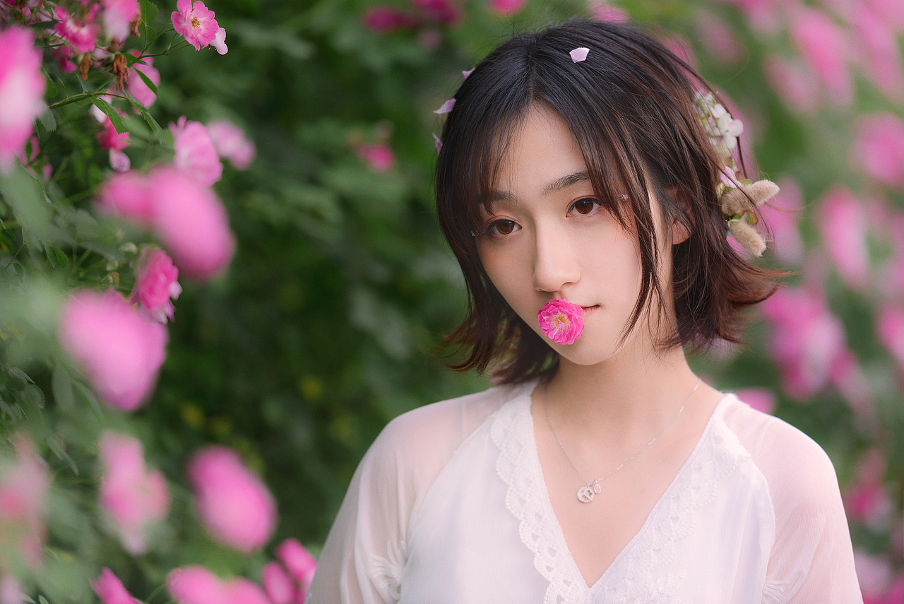 五月蔷薇（图ZMTEzNjA0MTUy） - 人像摄影 - 站酷设计师摄影的家俊原创素材 - 站酷ZCOOL