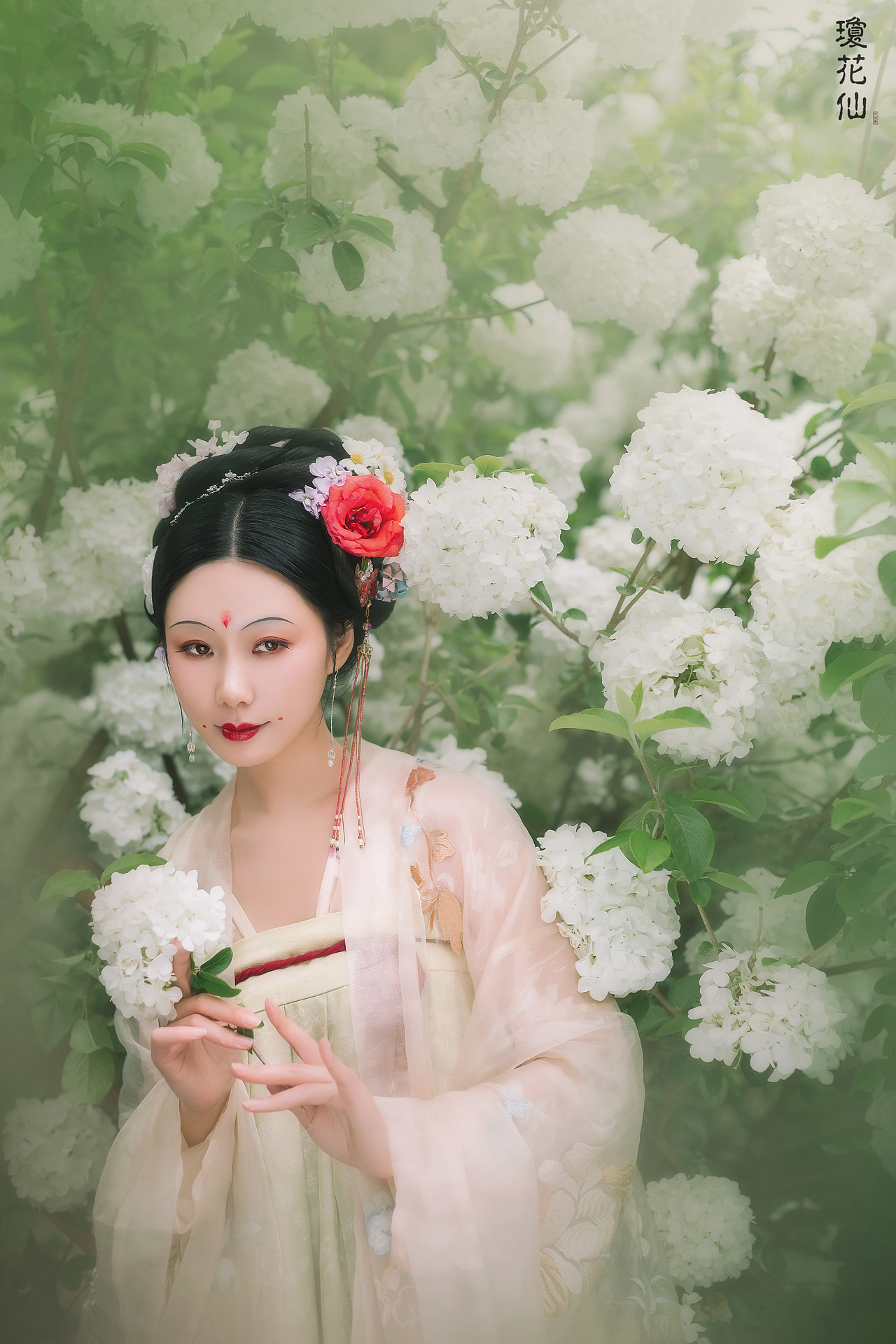 琼花仙（图ZMjA5NDAyODQw） - 人像摄影 - 站酷设计师Z68633134原创素材 - 站酷ZCOOL