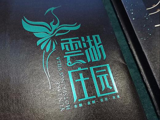 温泉地产案例