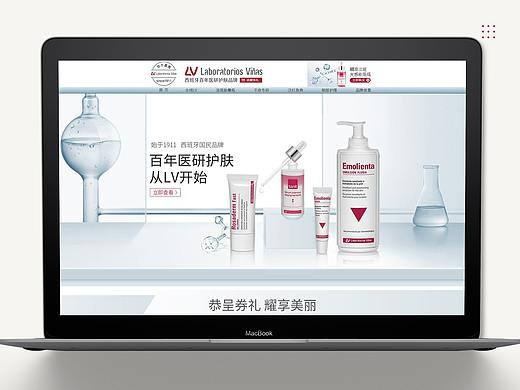 百年Vians项目总结